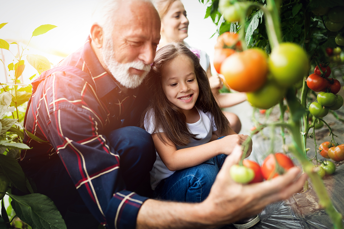 Grandfather and granddaughter planting an eco friendly home garden